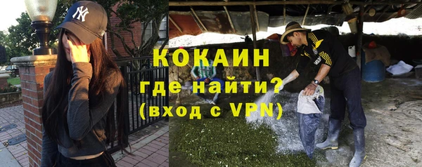 амф Пересвет