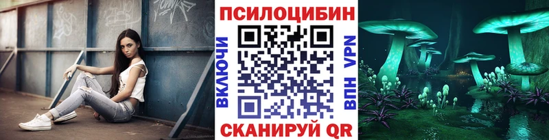 цена наркотик Шенкурск Псилоцибиновые грибы Psilocybe